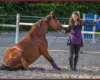 2-13JUIN 0697